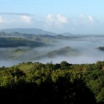 Un matin brumeux, Koné-Tiwaka