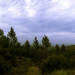 Retour vers Koumac - Vue du col d'Amos